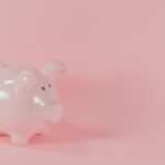 What is a Pay Pig? Meaning, Lifestyle & How to Find Pay Pigs